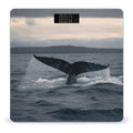Humpback Whale Tail Ocean Digital Bathroom Scale for Body Weight with High Precision Digital Weighing Scale with BMI Clear LCD Display and Step-On Measures Weight Up to 180kg