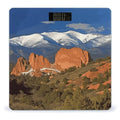 Pikes Peak Colorado Bathroom Scale for Body Weight Bathroom Weighing Scale with Backlit LCD Display Highly Accurate Measures Weight Up to 180kg