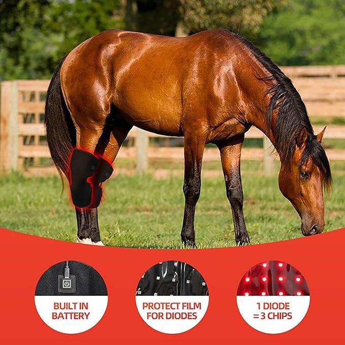 GOURIXIN LED Red Light Therapy for Horse Knee Portable Wearable Infrared Therapy Wrap 660nm/850nm for Equine Joint &amp Muscle Recovery