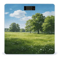 Meadow Green Smart Scale for Body Weight Digital Bathroom Scale Toughened Glass Weight Scale with Large LCD Backlight Display High Precision Scales Weighing Machine