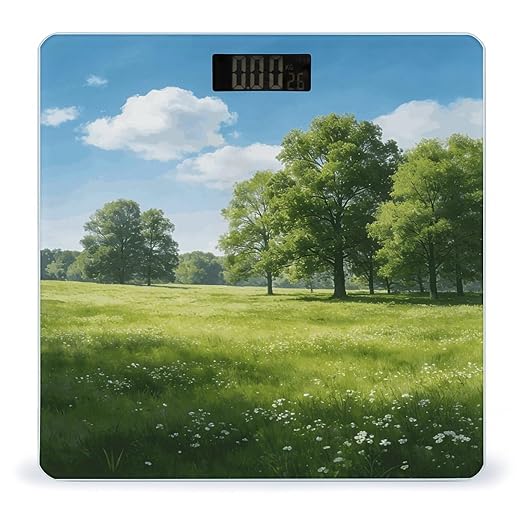 Meadow Green Smart Scale for Body Weight Digital Bathroom Scale Toughened Glass Weight Scale with Large LCD Backlight Display High Precision Scales Weighing Machine