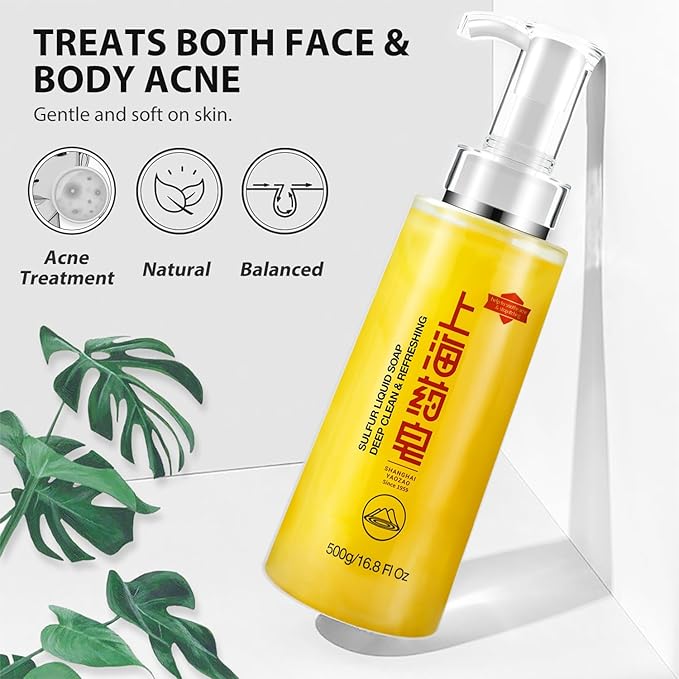 Bee &amp Flower Sulfur Soap Liquid Shampoo &amp Body Wash - Daily Head to Toe Skin Care Product for Men and Women - 16.8 Fl Oz - Pack of 2