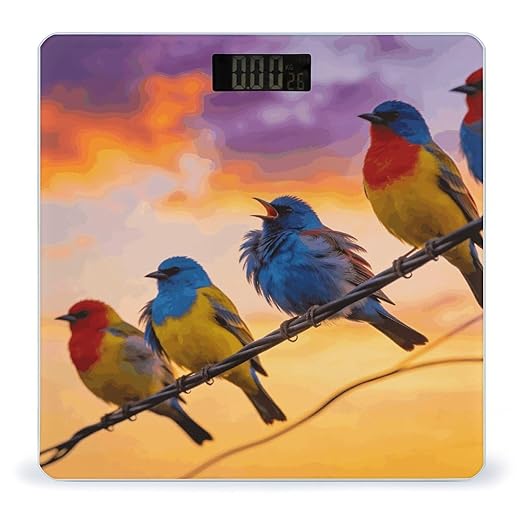 Birdies on Wire Smart Scale for Body Weight Digital Bathroom Scale Toughened Glass Weight Scale with Large LCD Backlight Display High Precision Scales Weighing Machine