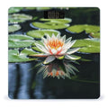 Water Lily Weight Scale Large Bathroom Scales Digital Weight with Bright LED Display Non Slip Automatic Weighing Scale Fashion Weighing Machine for Body