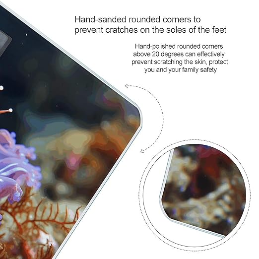 Nudibranch Bathroom Scale Automatic Power On/Off Body Scales LCD Backlight Display Square Digital Scale Rounded Corners Bathroom Scales for Home Bedrooms
