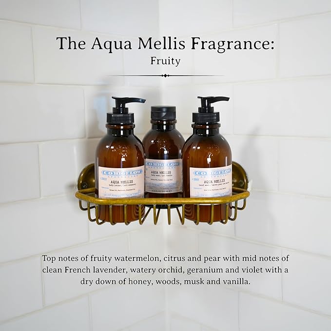 C.O. Bigelow Aqua Mellis Hand Wash Iconic Collection Liquid Hand Soap with Shea Butter Glycerin Aloe Vera 10.5 Fl Oz