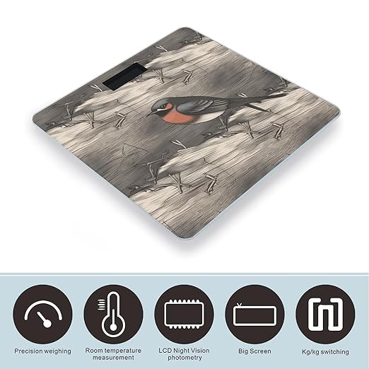 Barn Swallow in Graphite Scale for Body Weight Precision Bathroom Weighing Scales with Back Lit LCD Display Sturdy Tempered Glass Body Weight Scales Digital Bathroom Scale 400lb