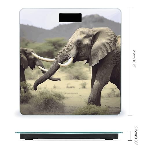 Elephants Animals Digital Bathroom Scale for Body Weight Weighing Scale with Backlit LCD Display High Precision Measurements &amp Measures Weight Up to 180kg