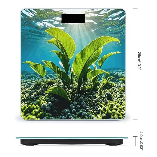 Green Sea Blue Seaweed Scale for Body Weight Digital Bathroom Scale Toughened Glass High Precision Scales for Body Weight with Large LCD Backlight Display Weight Scales