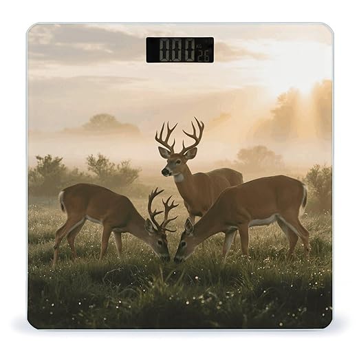 Deer Grass Hunting Scale for Body Weight Sturdy Tempered Glass Weighing Scales with LCD Display Accurate Digital Bathroom Scale Convenient Body Fat Smart Scales Easy Read