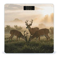 Deer Grass Hunting Scale for Body Weight Sturdy Tempered Glass Weighing Scales with LCD Display Accurate Digital Bathroom Scale Convenient Body Fat Smart Scales Easy Read