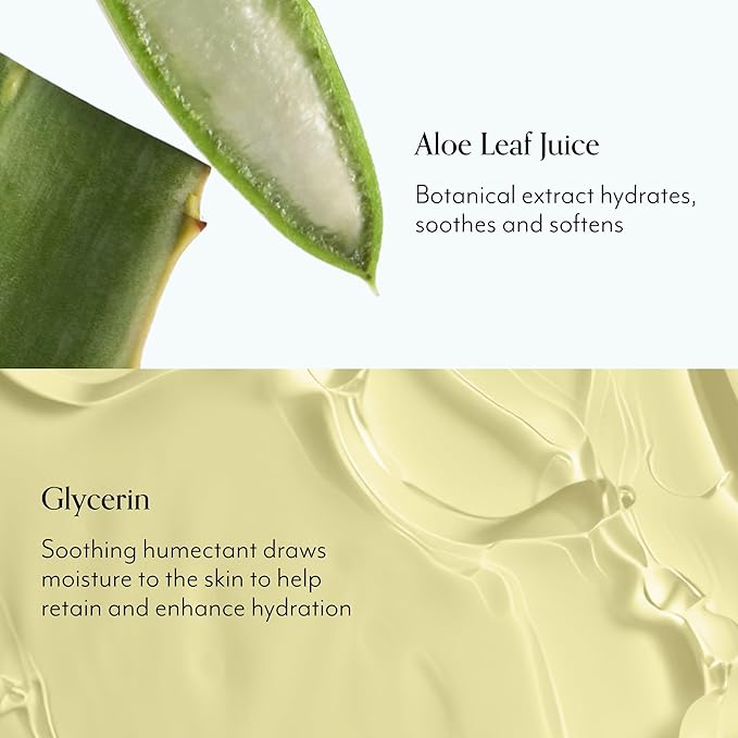 Bliss Lemon and Sage Hydrating Body Wash + Exfoliating Dry Brush for Back and Body
