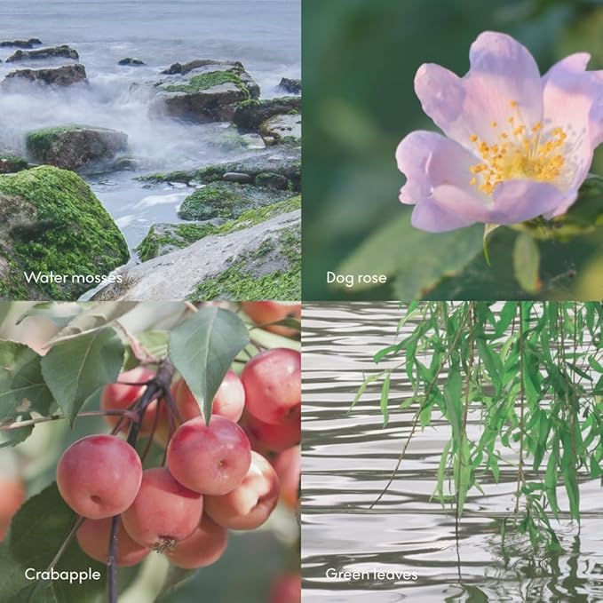 Skandinavisk ØY ‘Island' Hand &amp Body Wash Scent notes: Crabapple and dog rose water mosses and green leaves 16.91 fl. oz.