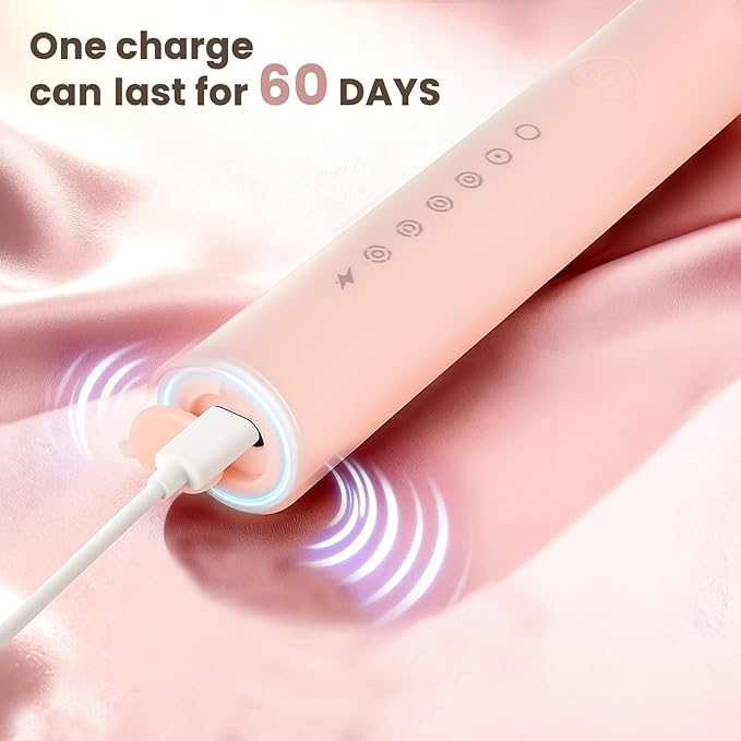 30 Pack Adult Electric Toothbrush Rechargeable Sonic Electric Toothbrush with 4 Brush Heads 6 Modes Timer Function IPX7 Waterproof 3 Colors Available
