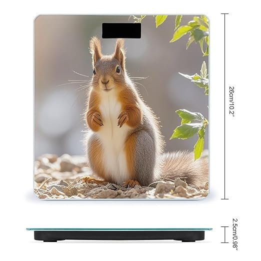 Squirrel Funny Animal Bathroom Scale for Body Weight with High Precision Large LCD Backlight Display Digital Weighing Scale with BMI Capacity Up to 180kg