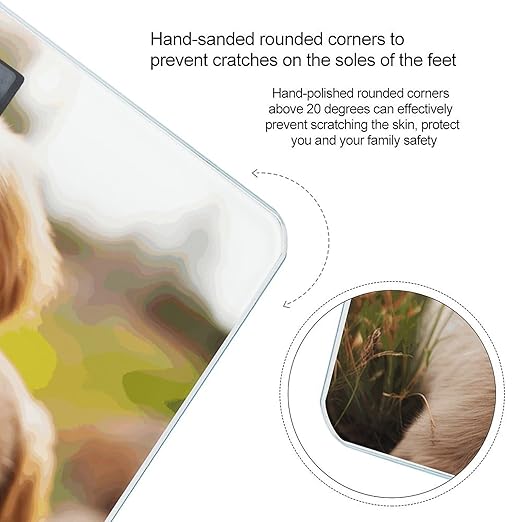 Cute Golden Retriever Puppy Bathroom Scale for Body Weight Bathroom Digital Electronic Weighing Scale with Back Lit LED Display Sturdy Tempered Glass Weight Watchers Scales 400lb