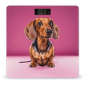 Dachshund Weiner Dog Scale for Body Weight Sturdy Tempered Glass Weighing Scales with LCD Display Accurate Digital Bathroom Scale Convenient Body Fat Smart Scales Easy Read