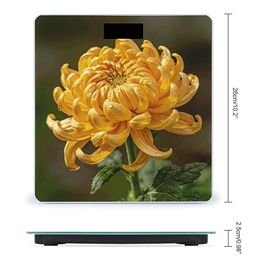 Golden Chrysanthemum Smart Scale for Body Weight Digital Bathroom Scale Toughened Glass Weight Scale with Large LCD Backlight Display High Precision Scales Weighing Machine