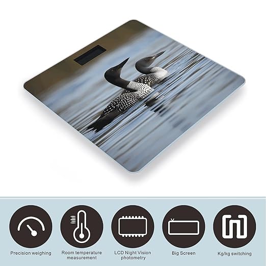 Loon BirdsScale for Body Weight with LCD High Precision Weighing Scales Fashion Sturdy Tempered Glass Weight Scales Easy-to-Read Digital Bathroom Scale for Daily 400lb