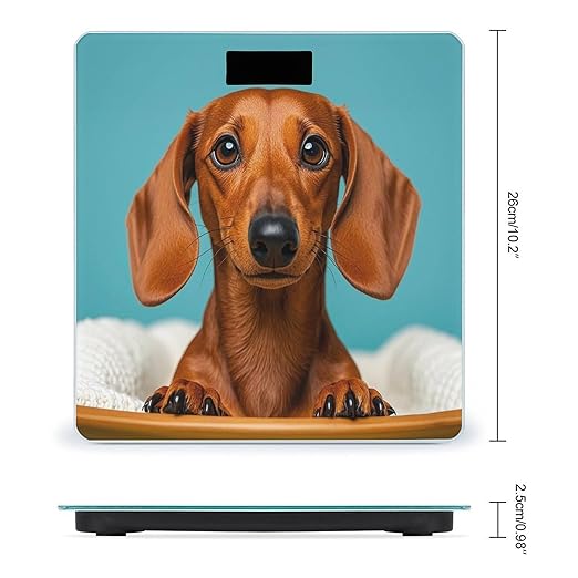 Dachshund Dog Scale for Body Weight Digital Bathroom Scale Toughened Glass High Precision Scales for Body Weight with Large LCD Backlight Display Weight Scales