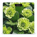 Green Floral Scale for Body Weight Digital Bathroom Scale Toughened Glass High Precision Scales for Body Weight with Large LCD Backlight Display Weight Scales