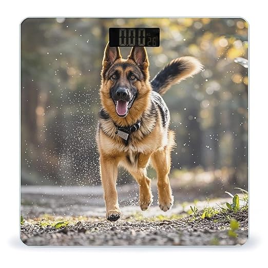 Running German Shepherd Dog Bathroom Scale for Body Weight Bathroom Weighing Scales with Back Lit LED Display Sturdy Tempered Glass Body Weight Bathroom Scale 400lb Weighing