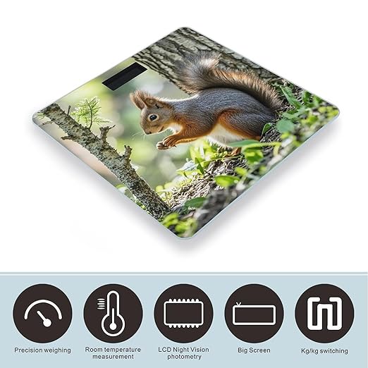 Squirrel in The Woods Scale for Body Weight Highly Accurate Digital Bathroom Body Scale Digital Bathroom Scales for People Anti-Slip Large LCD Display Smart Scales