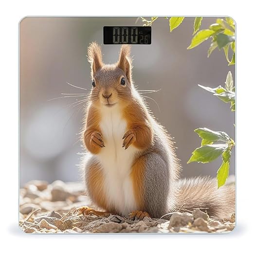Squirrel Funny Animal Bathroom Scale for Body Weight with High Precision Large LCD Backlight Display Digital Weighing Scale with BMI Capacity Up to 180kg