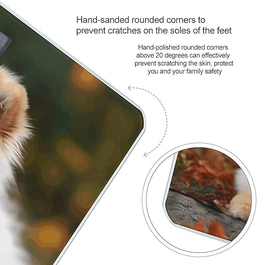 Short-haired Pomeranian Dog Bathroom Scale Large LCD Backlight Display Digital Scale Rounded Corners Body Scales Automatic Power On/Off Bathroom Scales for Home Bedrooms