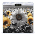 Black and White Sunflowers Scale for Body Weight Accurate Digital Bathroom Scale Toughened Glass High Precision Scales Smart Weight Scales with Large LCD Backlight Display Weighing Machine