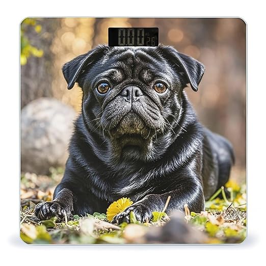 Cute Black Pug Dog Scale for Body Weight Highly Accurate Digital Bathroom Body Scale Digital Bathroom Scales for People Anti-Slip Large LCD Display Smart Scales