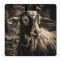Black and White Goat Scale for Body Weight Highly Accurate Digital Bathroom Scale Sturdy Tempered Glass Weighing Scales with LCD Display Fashion Body Fat Smart Scales 400lb