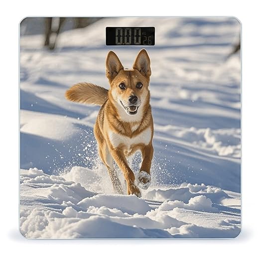 Dog Chasing in The Snow Digital Bathroom Scale for Body Weight Weighing Scale with Backlit LCD Display High Precision Measurements &amp Measures Weight Up to 180kg