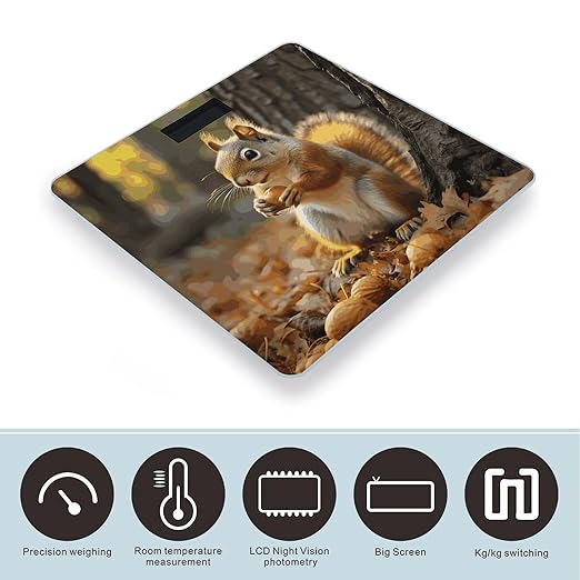 Cute Squirrel Eating Nuts Bathroom Scale for Body Weight Bathroom Weighing Scale with Backlit LCD Display Highly Accurate Measures Weight Up to 180kg