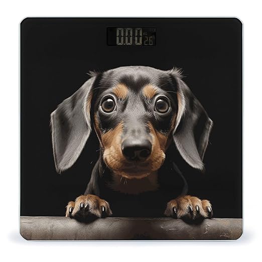 Pad Dachshund Bathroom Scale for Body Weight Bathroom Weighing Scale with Backlit LCD Display Highly Accurate Measures Weight Up to 180kg