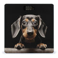 Pad Dachshund Bathroom Scale for Body Weight Bathroom Weighing Scale with Backlit LCD Display Highly Accurate Measures Weight Up to 180kg