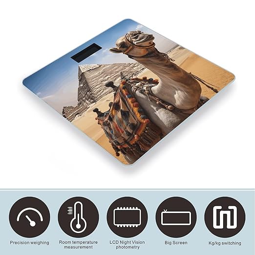 Pyramid Camel Bathroom Scale Large LCD Backlight Display Digital Scale Rounded Corners Body Scales Automatic Power On/Off Bathroom Scales for Home Bedrooms
