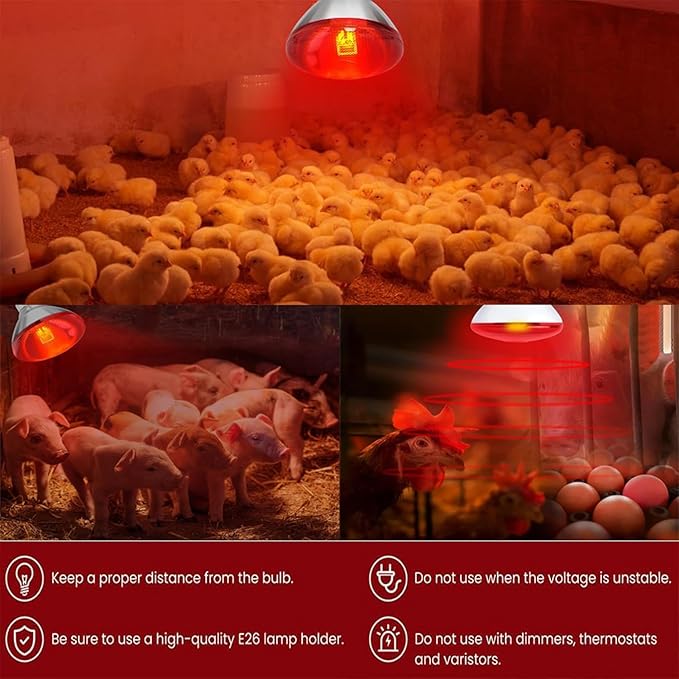 4 Pack 275W Infrared Heat Bulbs for Chickens Infrared Red Heat Lamp for Food Service Brooder Bulb Chicks Reptiles Pet Bathroom Sauna Heat Bulb E26 Base Infrared Red Light Therapy Bulbs