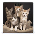 Kittens Family Cats Bathroom Scale Rounded Smart Scale for Body Weight Automatic Power On/Off Weight Scales Accurate Bathroom Digital Scales for Pet Home Bedroom Kitchen