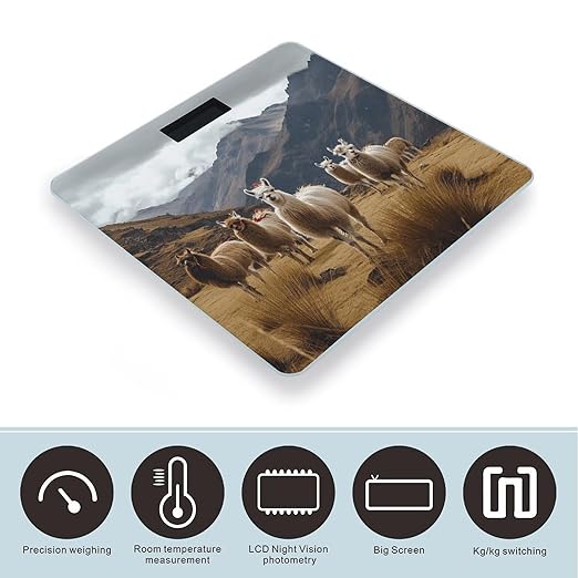 Llamas in The Andes Bathroom Scale Automatic Power On/Off Body Scales LCD Backlight Display Square Digital Scale Rounded Corners Bathroom Scales for Home Bedrooms