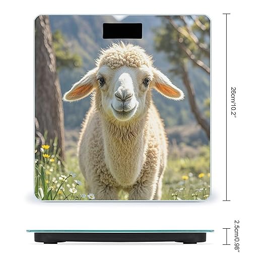 Lamb Bathroom Scale for Body Weight with High Precision Large LCD Backlight Display Digital Weighing Scale with BMI Capacity Up to 180kg