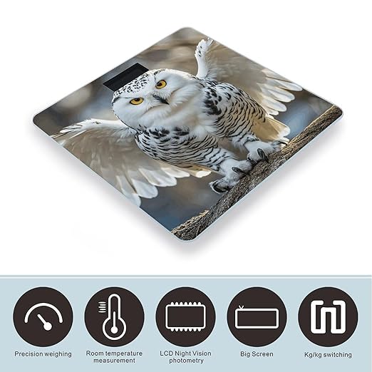 Snow Owl Scale for Body Weight Sturdy Tempered Glass Weighing Scales with LCD Display Accurate Digital Bathroom Scale Convenient Body Fat Smart Scales Easy Read