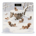 Squirrel Bathroom Scale for Body Weight Bathroom Digital Electronic Weighing Scale with Back Lit LED Display Sturdy Tempered Glass Weight Watchers Scales 400lb