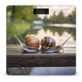 Two Snails on The Bench Bathroom Scale for Body Weight Bathroom Weighing Scale with Backlit LCD Display Highly Accurate Measures Weight Up to 180kg