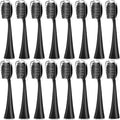 Replacement Toothbrush HeadsCompatible for Seago S9 S1 S6 S8 S21 S26 S28 SG540 SG860 SG861 SG986 SG987 SG988 2752 Head(16pcs Black)