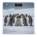 Emperor Penguin Huddle Scale for Body Weight Sturdy Tempered Glass Weighing Scales with LCD Display Accurate Digital Bathroom Scale Convenient Body Fat Smart Scales Easy Read