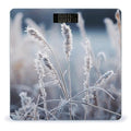 Frost Grass Scale for Body Weight Precision Bathroom Weighing Scales with Back Lit LCD Display Sturdy Tempered Glass Body Weight Scales Digital Bathroom Scale 400lb