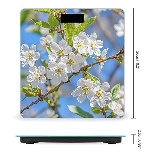 Beautiful Spring Cherry Blossoms Bathroom Scale for Body Weight Bathroom Weighing Scales with Back Lit LED Display Sturdy Tempered Glass Body Weight Bathroom Scale 400lb Weighing