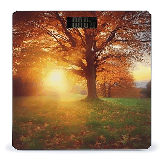 Autumn Sunset Digital Bathroom Scale for Body Weight Weighing Scale with Backlit LCD Display High Precision Measurements &amp Measures Weight Up to 180kg