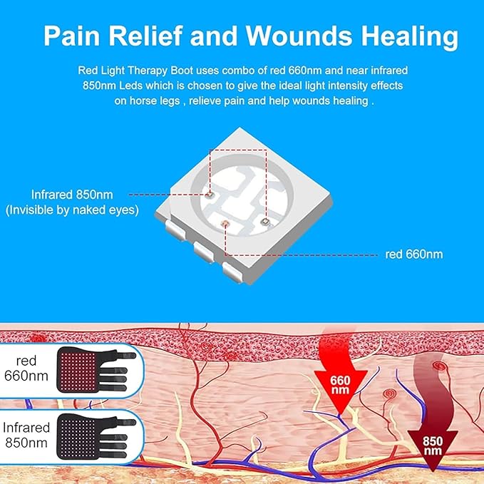 Horses Red &amp Infrared Light Therapy Device Wearable Red Light Therapy Belts Portable Therapy Deep Light for Horse Head Buttocks Abdomen Back Front Legs and Hind Legs Muscle Recovery. ﻿(1pcs